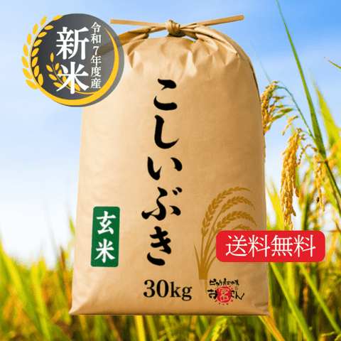 ����7ǯ�ٻ� ���㻺�������֤�����30kg�â�10��OFFSALE