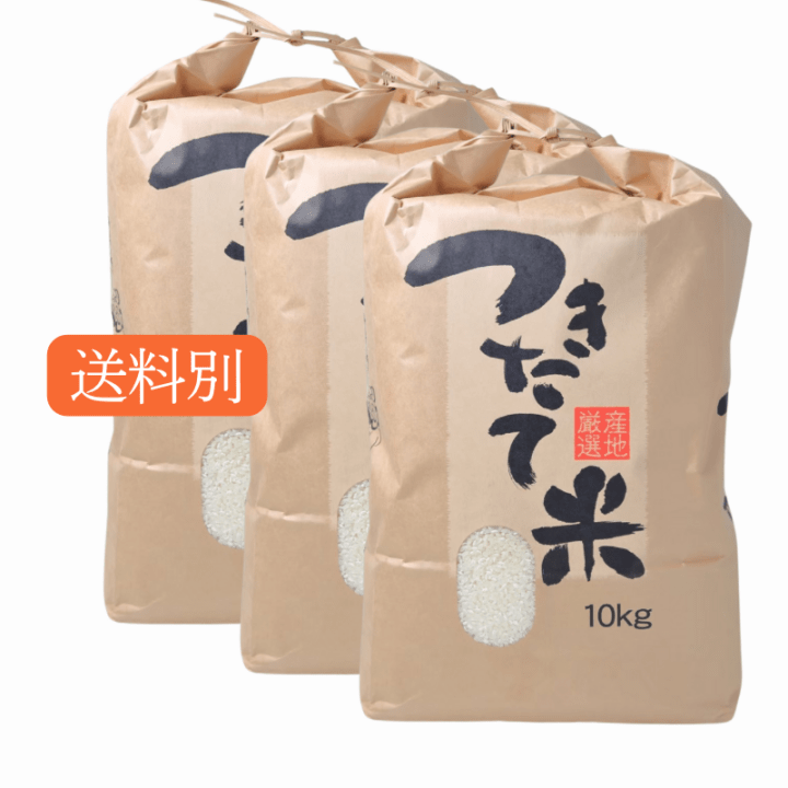 令和7年度産 新潟産こしいぶき | 玄米30kg