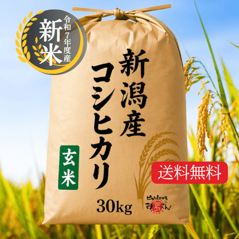 ���£�ǯ�ٻ� ���㻺�����ҥ��긼��30kg�â�10��OFFSALE