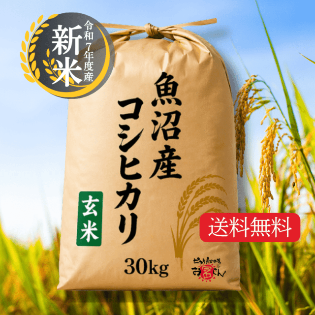 令和7年度産 魚沼産コシヒカリ玄米30kg｜※10％OFFSALE