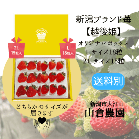 ���㤤�����ڱ۸�ɱ��