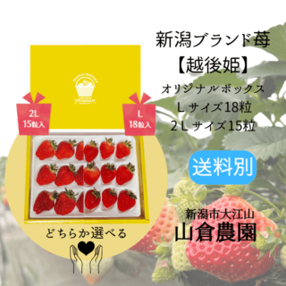 新潟いちご【越後姫】 2Lサイズ15粒 / Lサイズ18粒