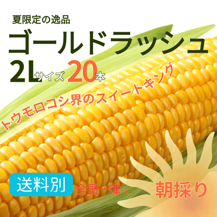 農家さん直送！朝採りとうもろこし【ゴールドラッシュ】20本｜送料全国