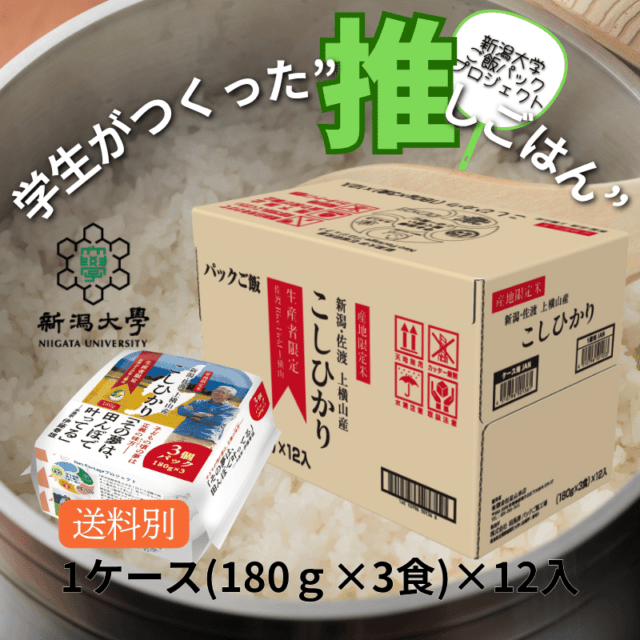  岣Ҥꤴӥѥå 1180g31236