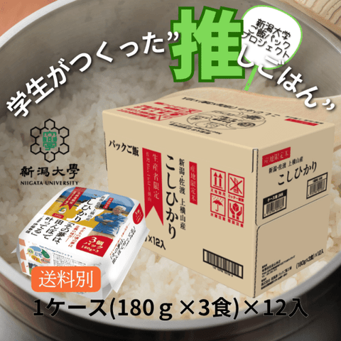  岣Ҥꤴӥѥå 1180g31236