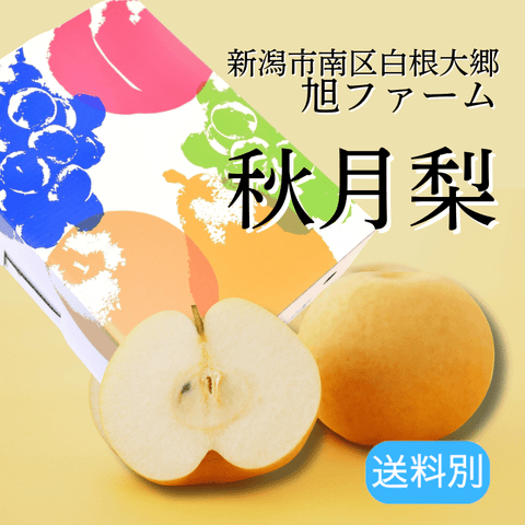 ���㸩�� �����ڽ���ۡʤ����Ť���2.5kg/5kg��9��ܤ�����