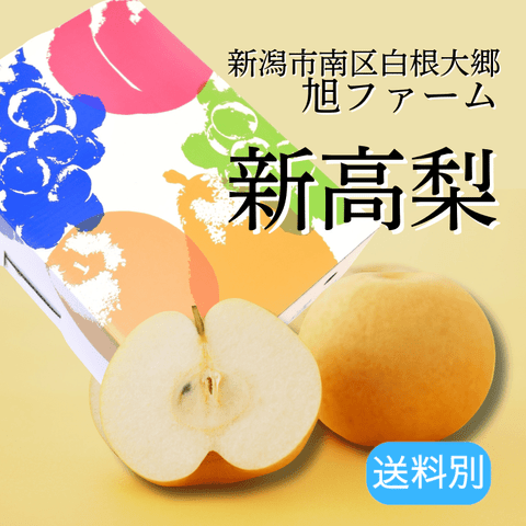 ���㸩�� �����ڿ���ۡʤˤ�������3kg/5kg