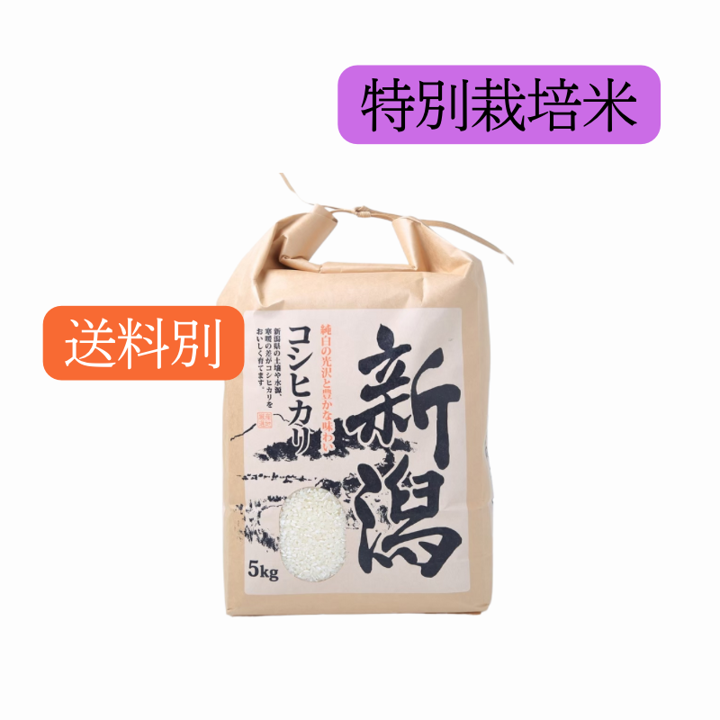 6ǯٻ <̺> 㻺ҥ | /5kg