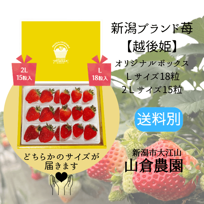 ���㤤�����ڱ۸�ɱ�� 2L������15γ / L������18γ