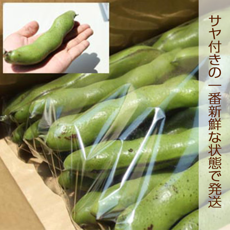ۿ㻺 Ʀ ͥkg