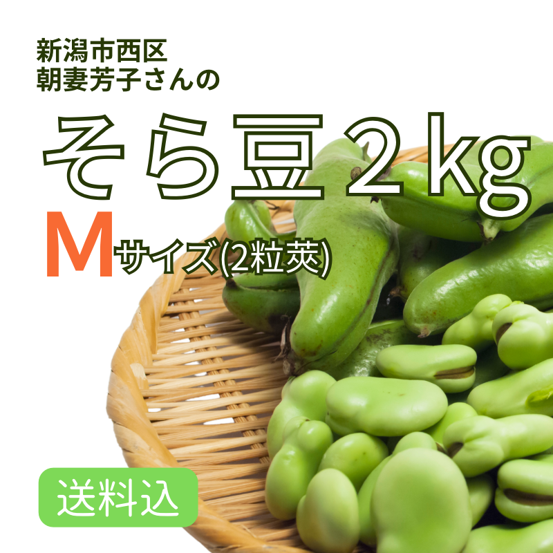ۿ㻺 Ʀ ͥkg