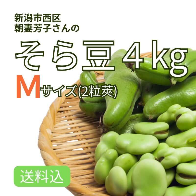 ۿ㻺 Ʀ ͥkg