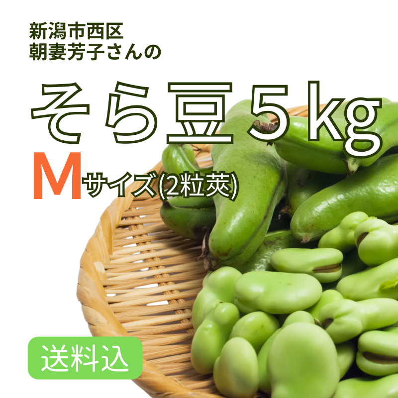 ۿ㻺 Ʀ ͥkg