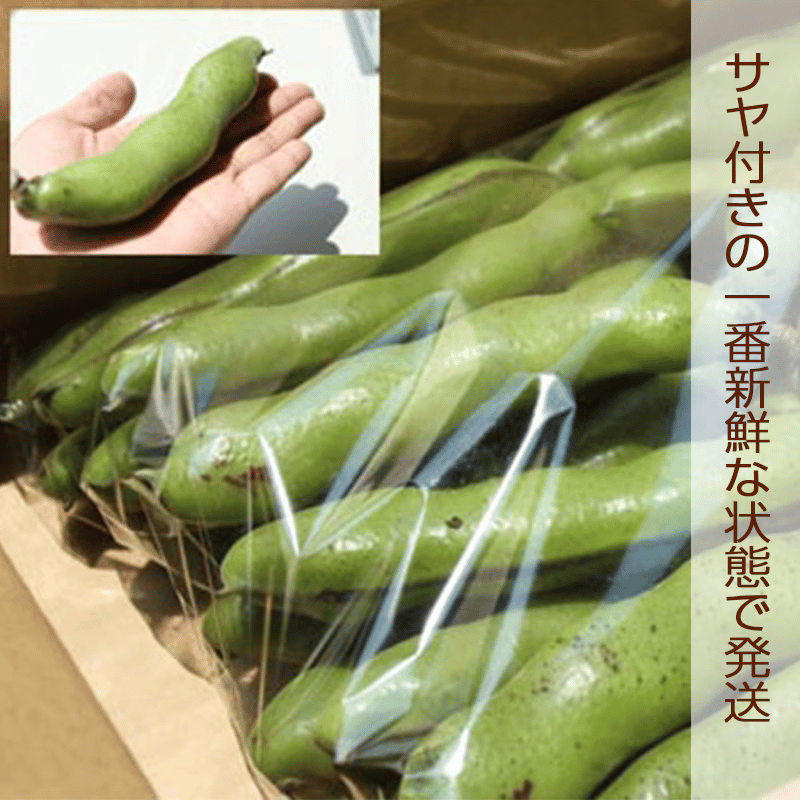 ۿ㻺 Ʀ ͥ6kg
