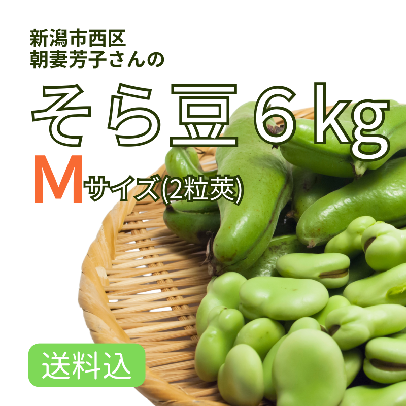 ۿ㻺 Ʀ ͥ6kg