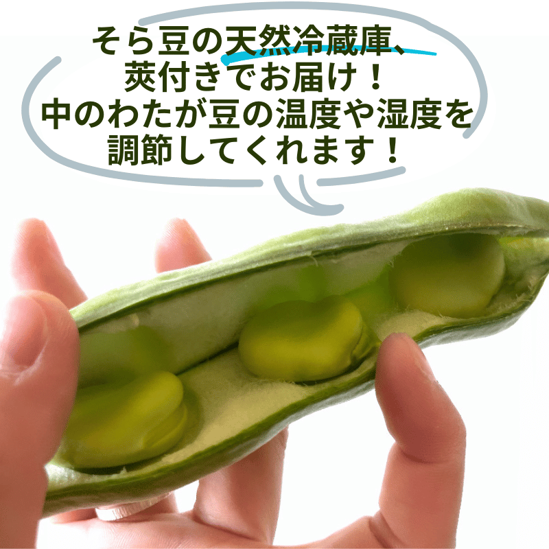 ۿ㻺 Ʀ L kgͽŵդ