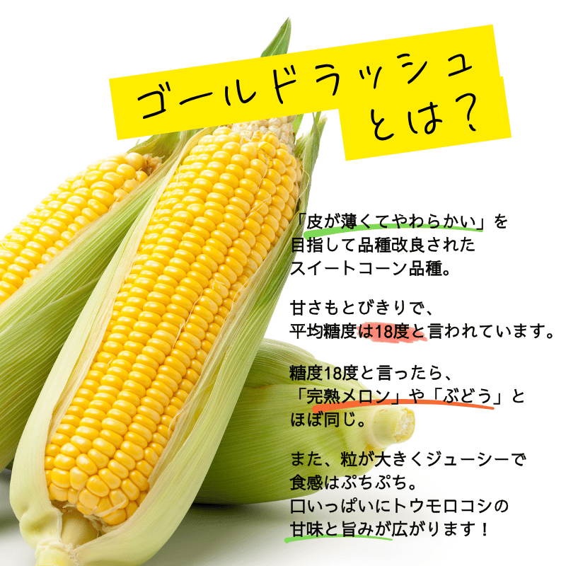 īΤڤȤۥɥå10