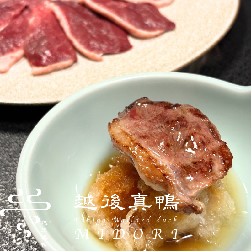 �۸忿�� �ޥ��� �� ��ȴ�� ����¢�������