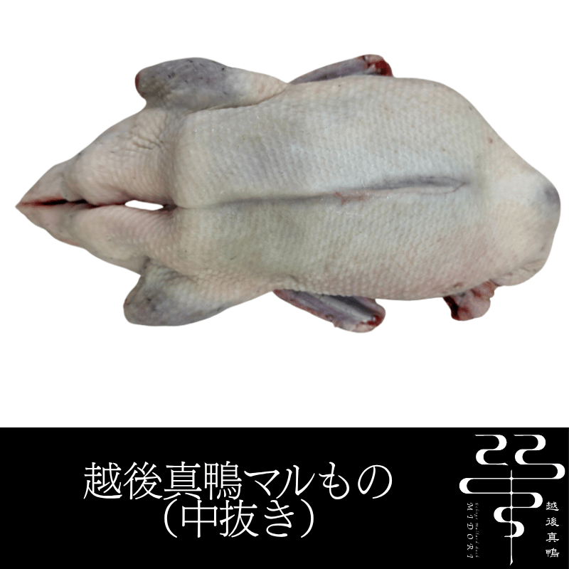 �۸忿�� �ޥ��� �� ��ȴ�� ����¢�������