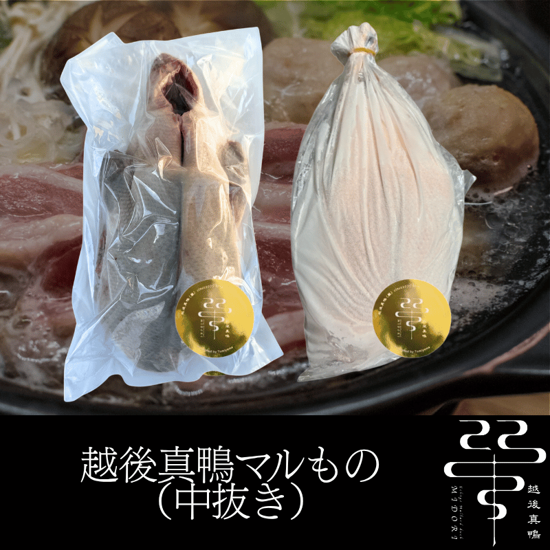 �۸忿�� �ޥ��� �� ��ȴ�� ����¢�������