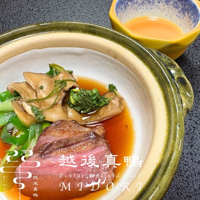 �۸忿�� �ޥ��� �� ��ȴ�� ����¢�������