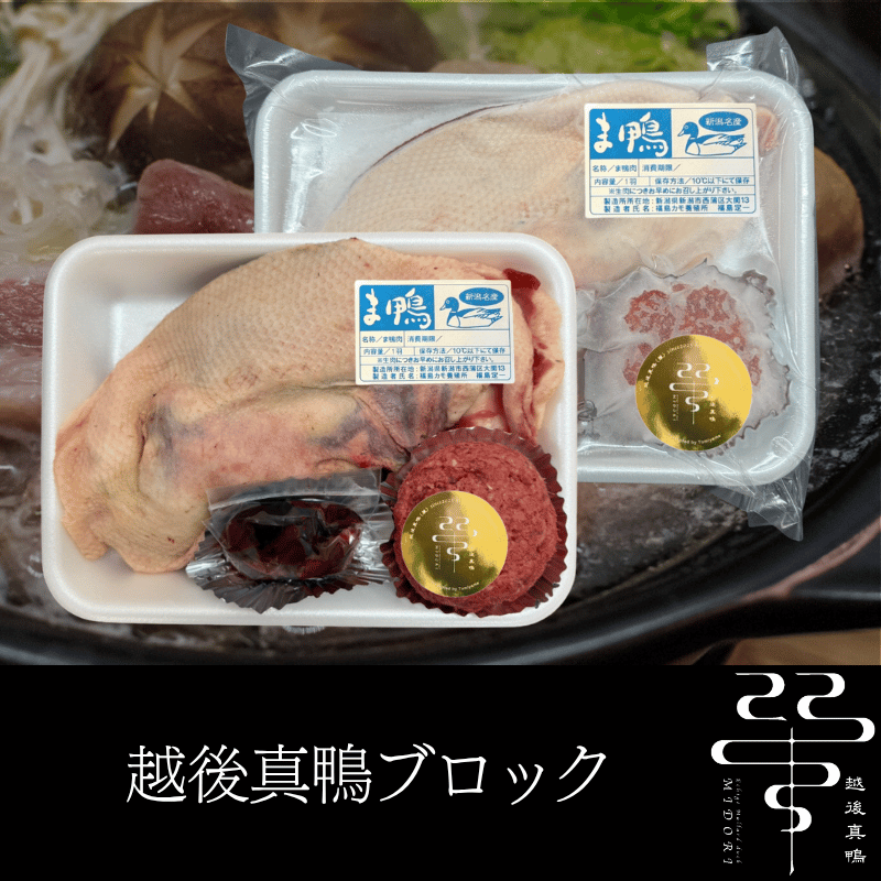 �۸忿�� �֥��å� ����¢�������