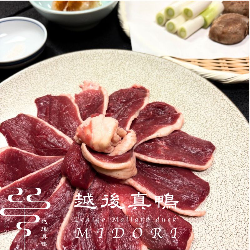 �۸忿�� �֥��å� ����¢�������