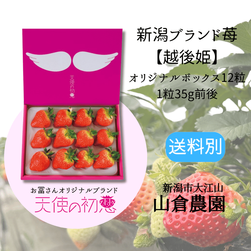 ���㤤�����۸�ɱ��ŷ�Ȥν�������γ�� 1Ȣ12γ