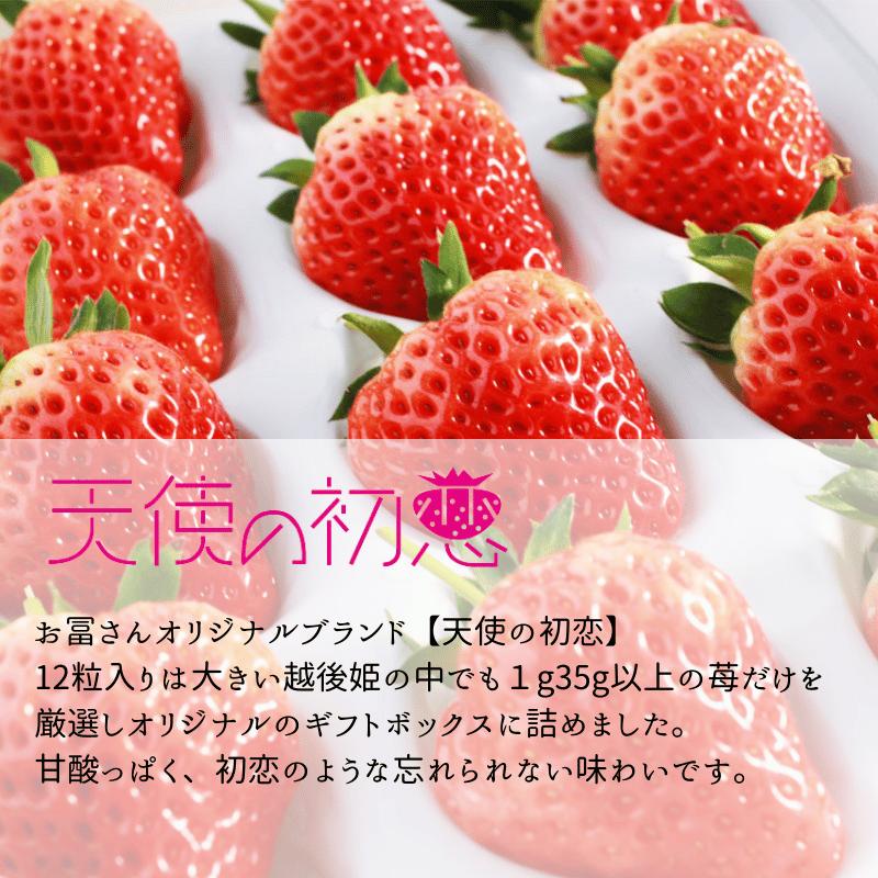 ۸ɱŷȤνγ 1Ȣ12γ