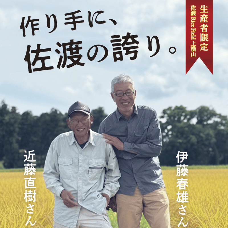  岣Ҥꤴӥѥå 1180g31236