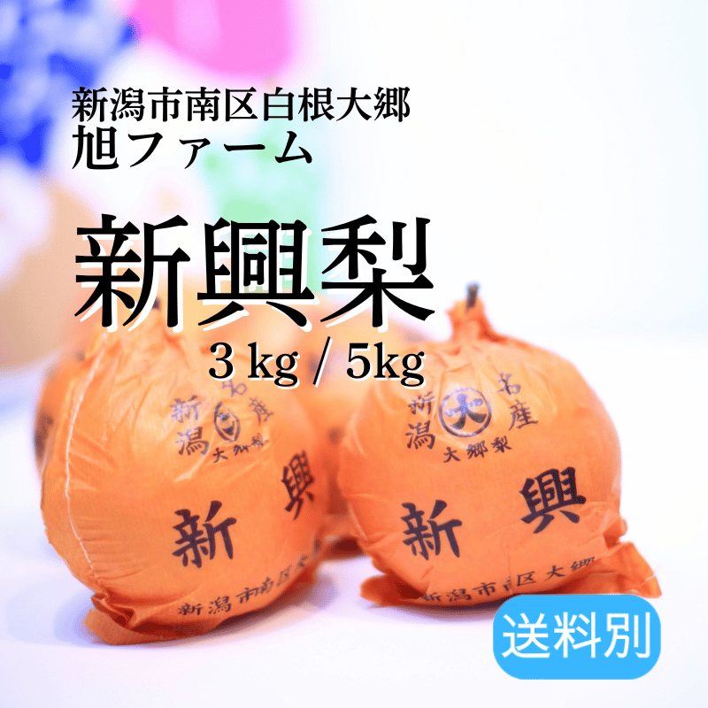 �ڴ������ۿ��㸩�� �� ���󤳤��ڿ�����3kg/5kg