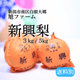 �ڴ������ۿ��㸩�� �� ���󤳤��ڿ�����3kg/5kg