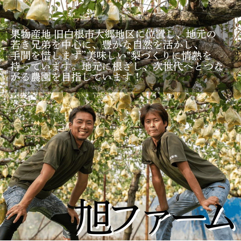 ����7ǯ�١֥� �쥯�����ײ̼���ɾ�� ͥ���ޡÿ��㸩�������ۥ� �쥯������kg�����綿�� ���ե�����