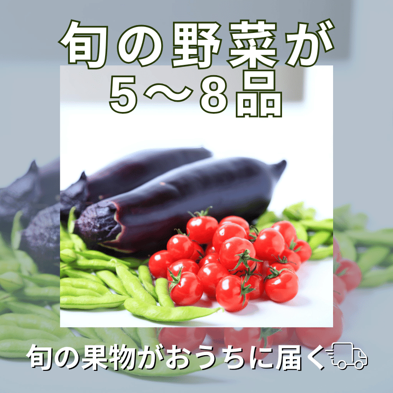 㸩  ᤷå(5~8) 