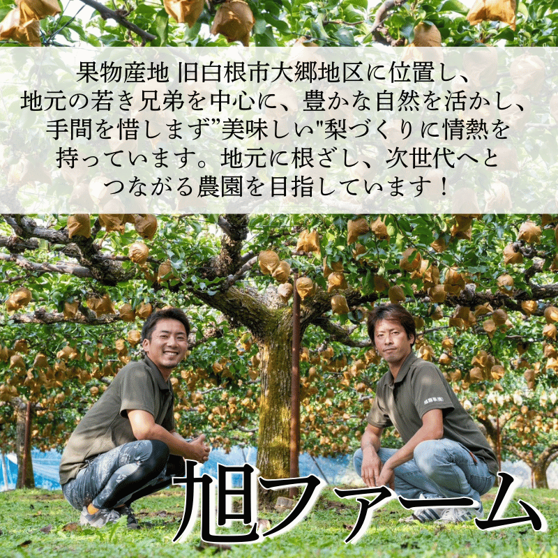 ���㸩�� �����ڹ���ۡʤ���������2.5kg/5kg