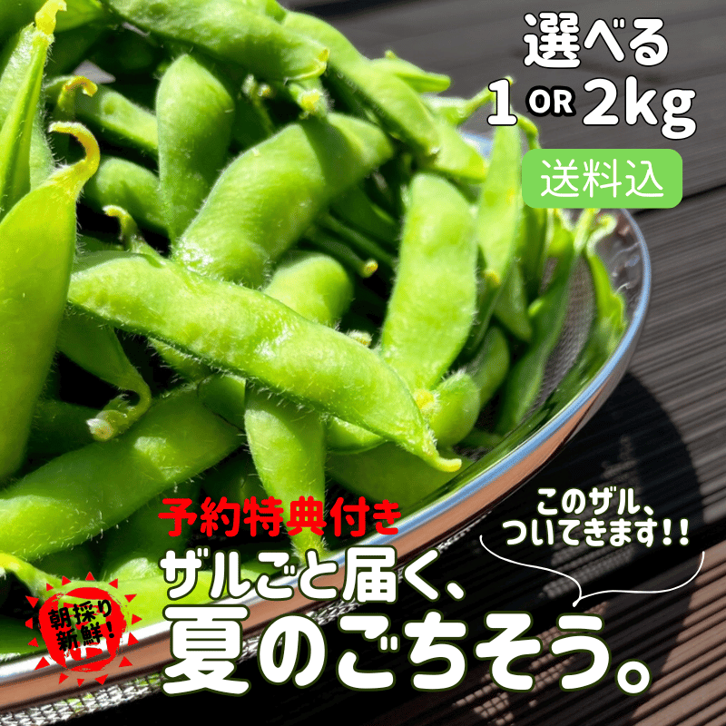   㻺 ܤλƦͽŵդ