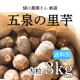 㸩 γ Τ 3kg