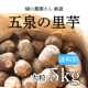 㸩 γ Τ 5kg