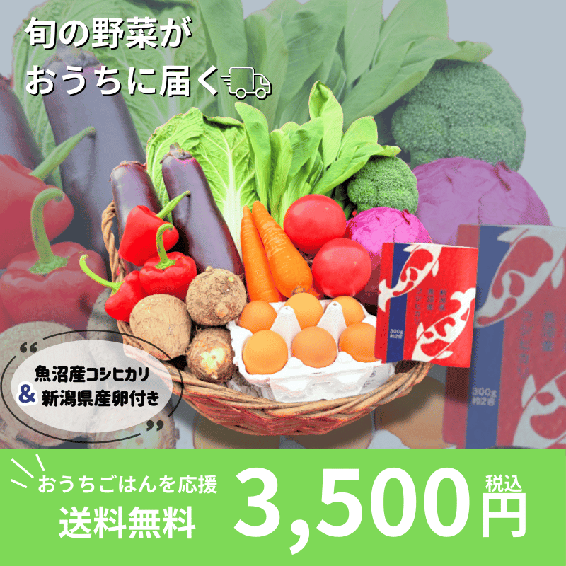 ���������� �ܤ���ڥ��å� 8��10�� 2���� �� �դ�