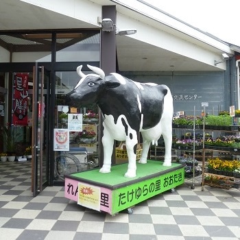 お取り寄せ-おおたき れんげの里のアイスクリーム（バニラ） 12個