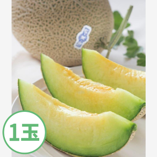 【販売開始！7月中旬〜9月末頃迄の期間限定】福井県勝山産「若猪野メロン」1玉|東急ハーヴェストクラブスキージャム勝山|東急リゾーツ＆ステイ運営施設厳選の逸品