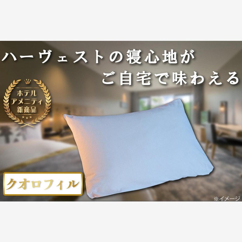 ホテルの寝心地をご自宅でも味わえる　〜客室 クオロフィル枕〜|すべての商品