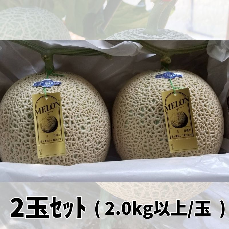 【杉浦農園】マスクメロン(一木一果育て) 2玉 2.0kg以上/玉 送料無料