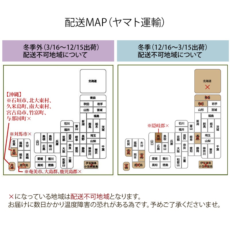 カララSサイズ　品種ランダム　6鉢セット