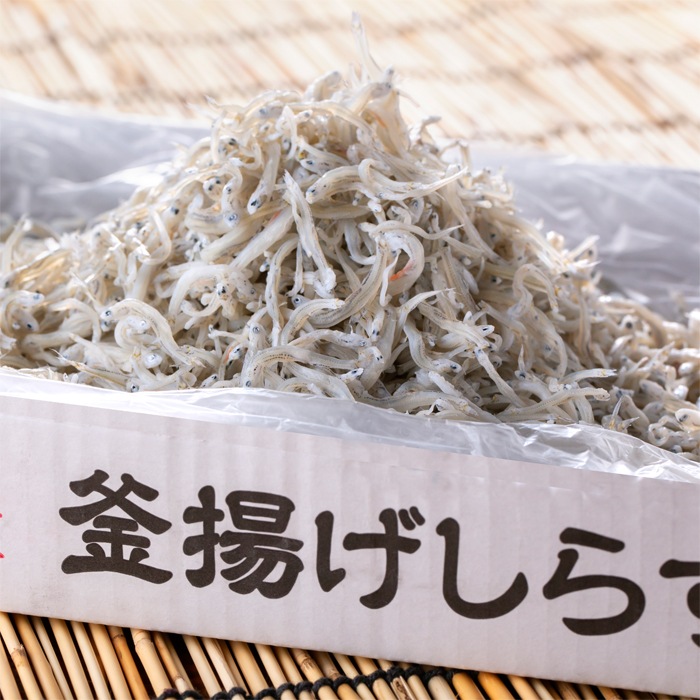 愛知県産 釜揚げシラス1kg【冷凍】