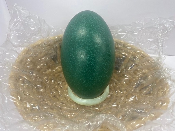 ���ߥ塼�ο���