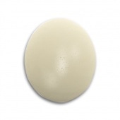 �����祦����ʲ��ͤ����