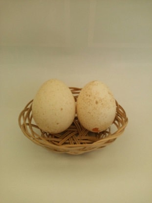 ���������祦�ο��񡡢����ĥ��å�