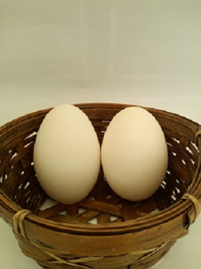 �����祦�ο��񡡢����ĥ��å�