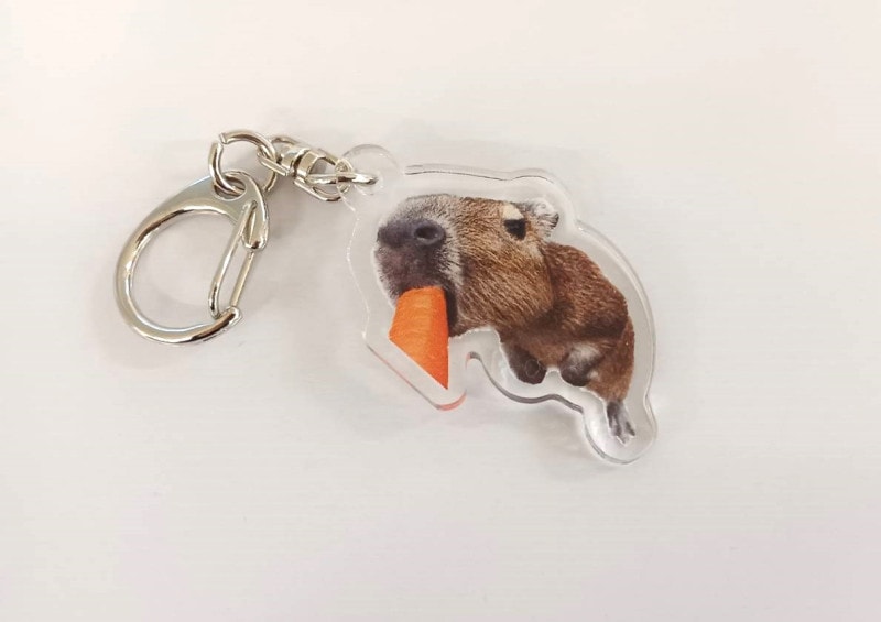 祦񥢥륭ۥΩ夬ꥫԥХ